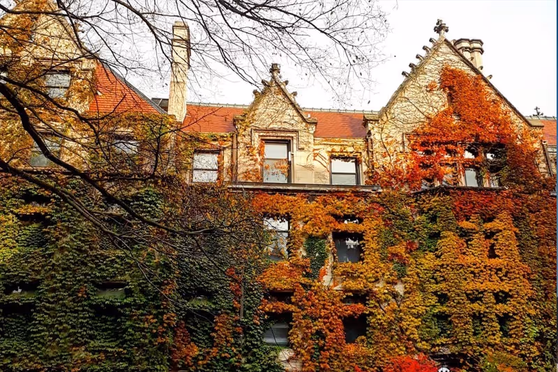 University of Chicago