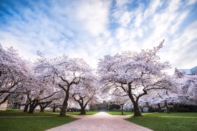 University of Washington
