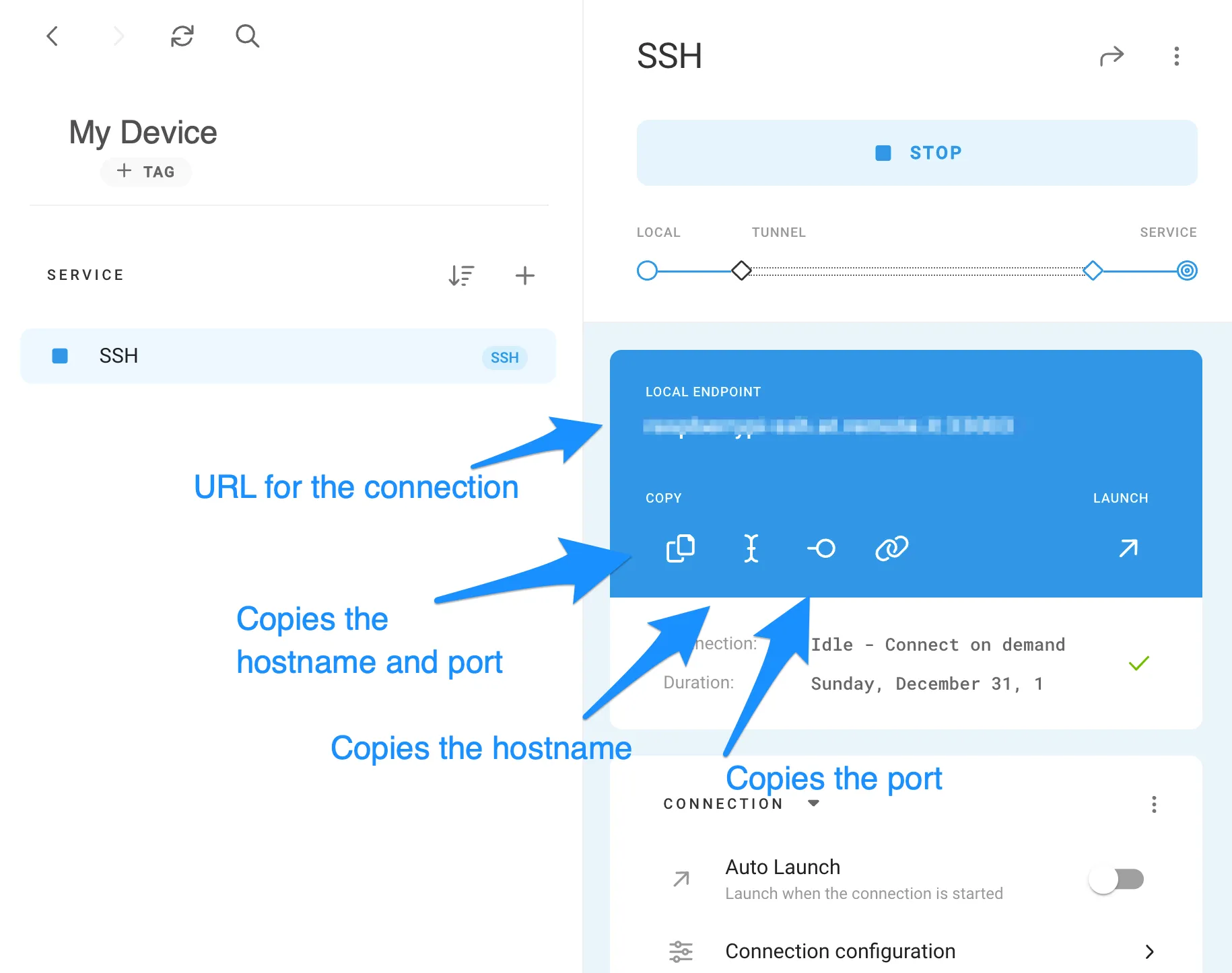 GPC connection URL hostname port