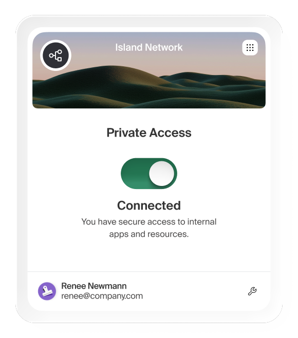 Island browser panel showing Private Access switched on and connected to internal apps and resources