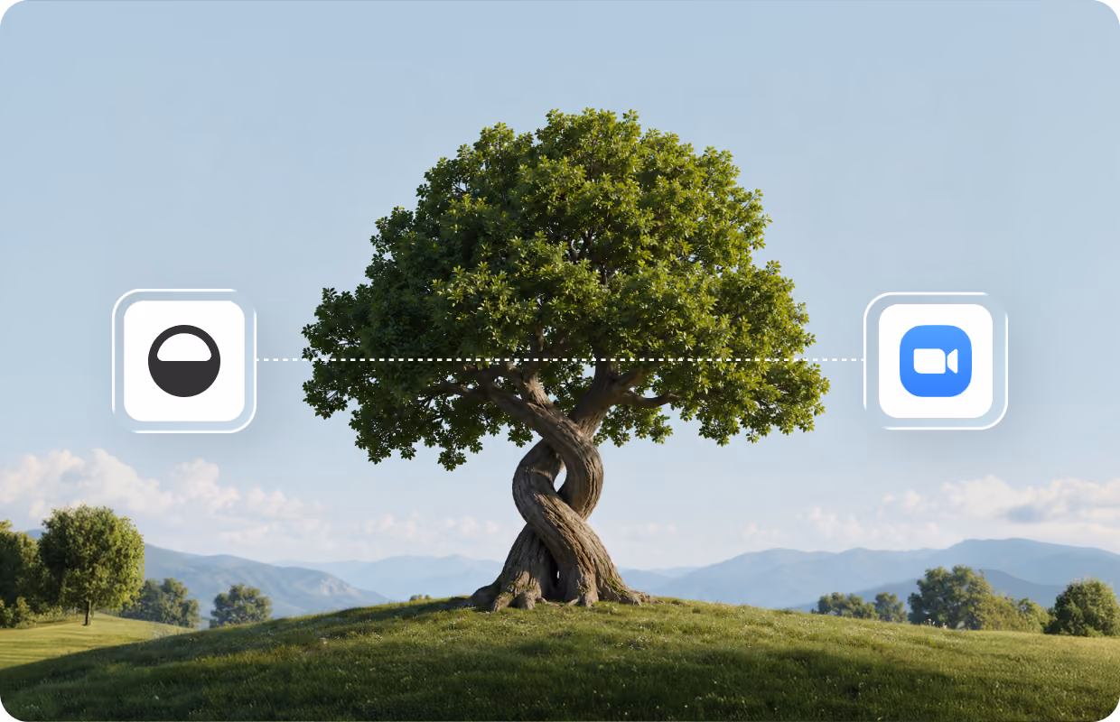 Illustration of a tree between the Island and Zoom logos