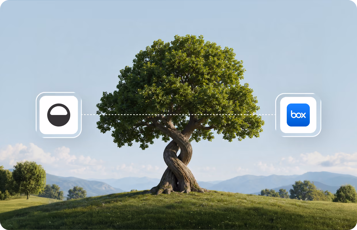 Illustration of a tree between the Island and Box logos