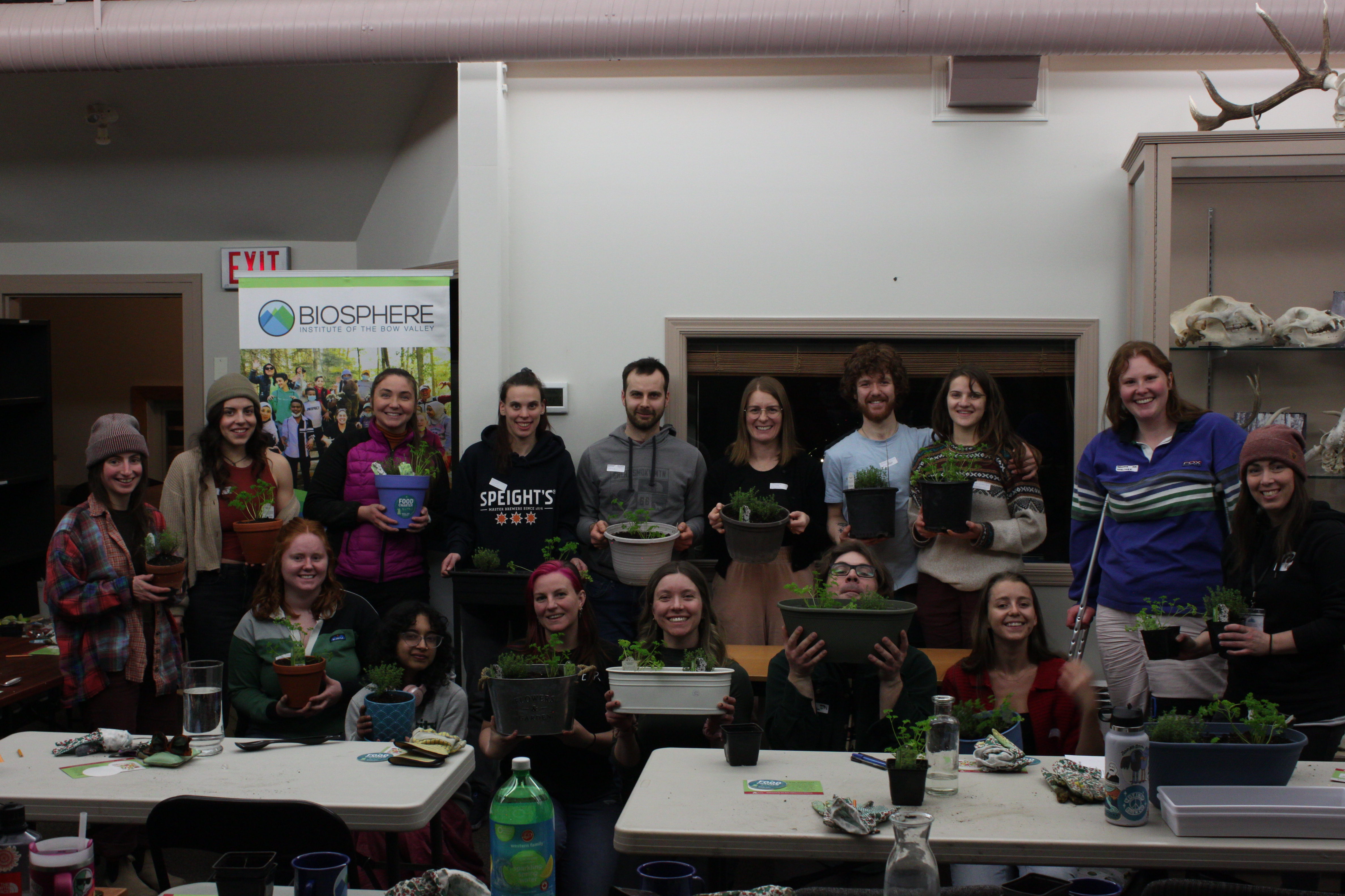 Life skills programming