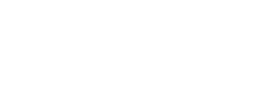 Dragonfly Capital Logo