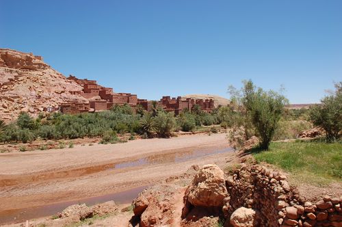 chameau nomades ouarzazate