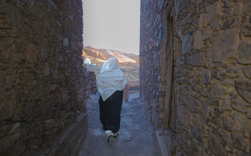 Héritage social et rôle des femmes dans la tribu marocaine précoloniale