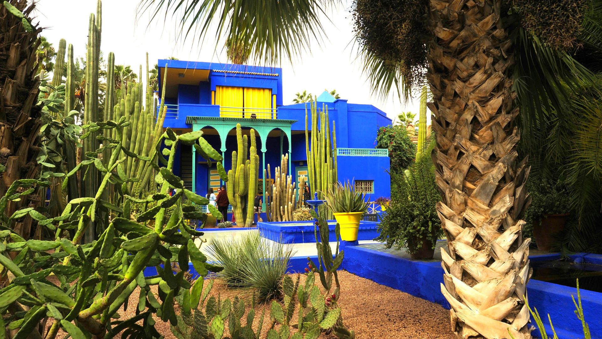 Le Jardin Majorelle : l’oasis bleue qui fait battre le cœur de Marrakech