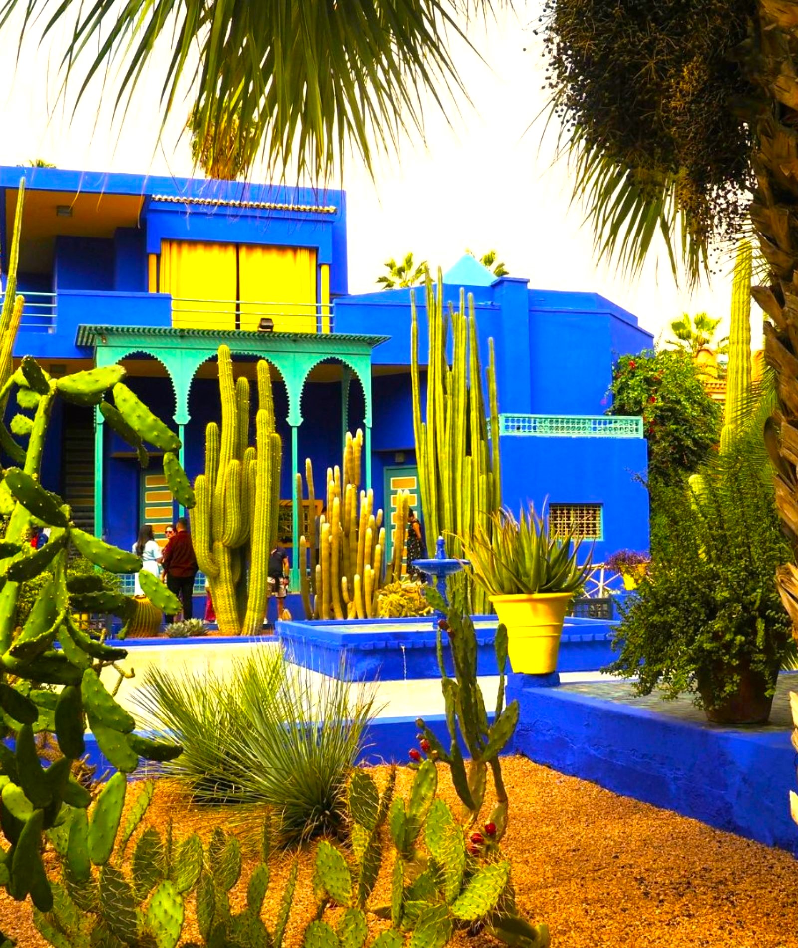 Photo de Bradley Pritchard Jones