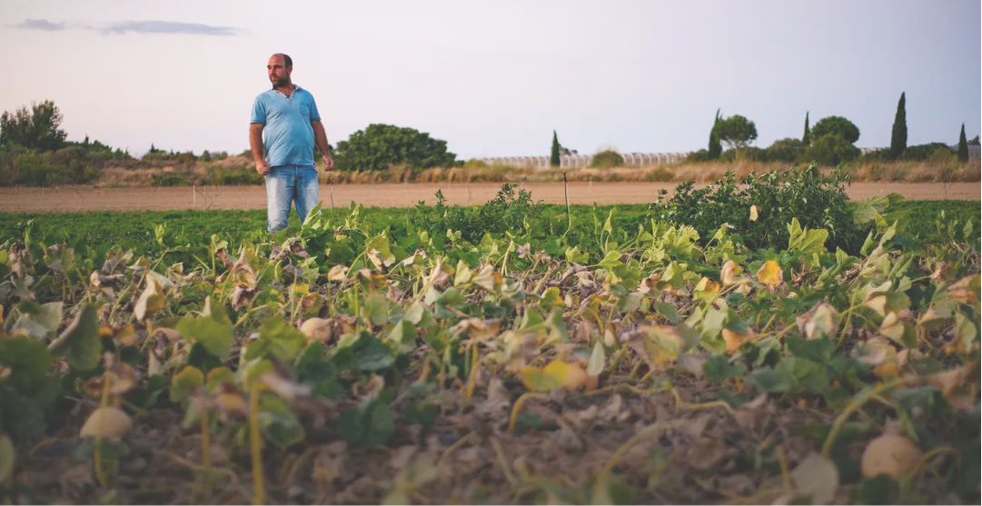 Agriculteur au travail