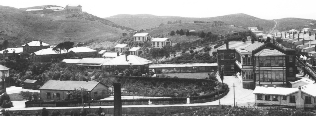 The Tin Shed is in the foreground left in this 1932 photo. Behind are the Seddon wards and shelters and to the right, the two-storied Victoria Wards. Wellington Hospital Archives, as gathered by Ron Easthope, honorary archivist and retired cardiologist. Fu