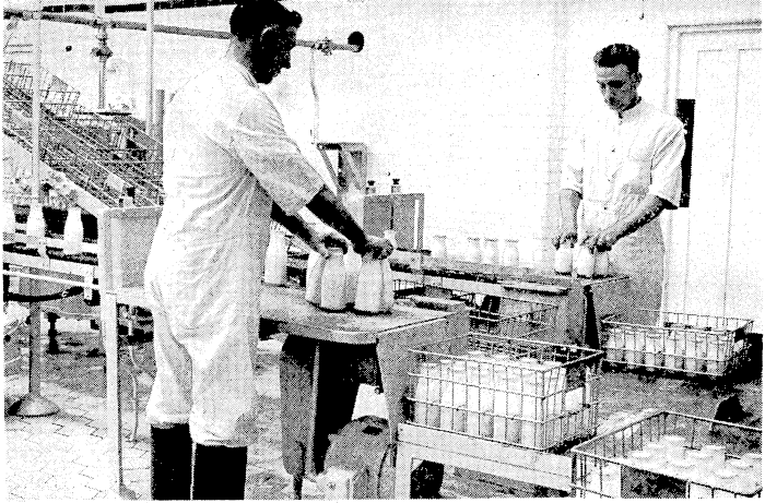 The School Milk Programme