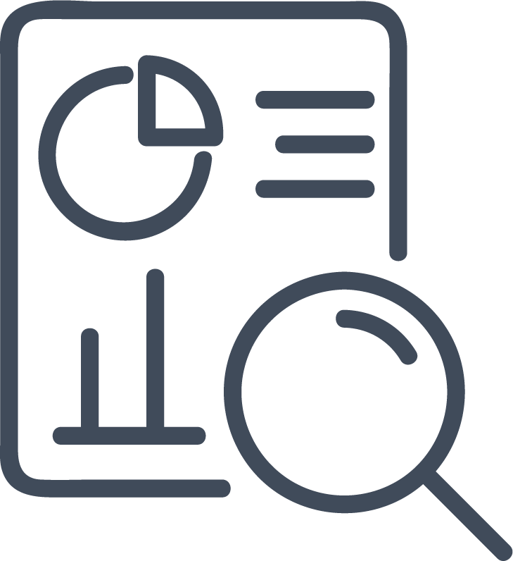 reporting icon (magnifying glass in front of a data report)