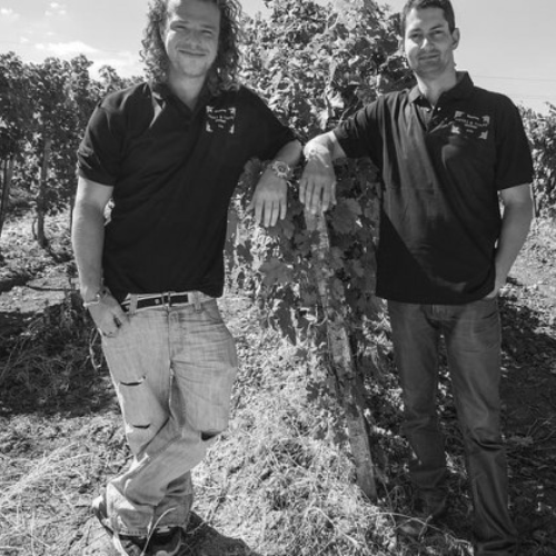 Le domaine Havas & Timár 