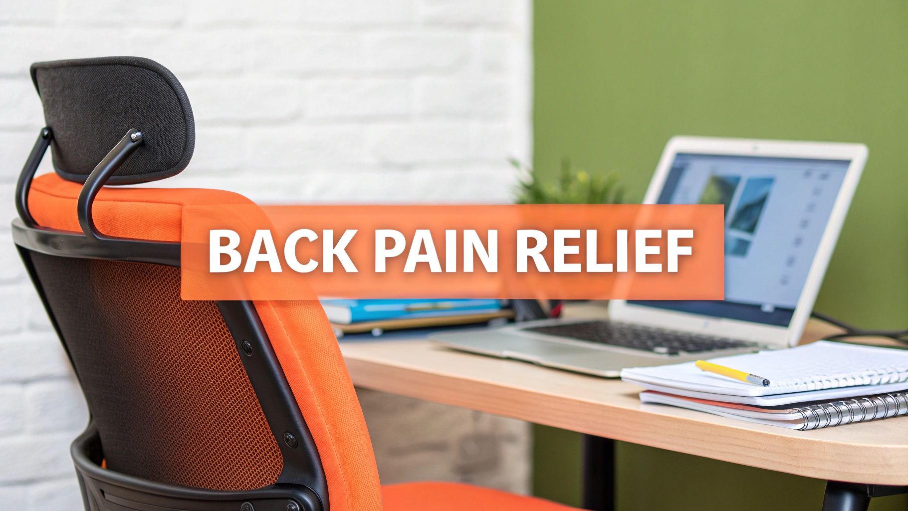 Find the Best Study Chair for Back Pain