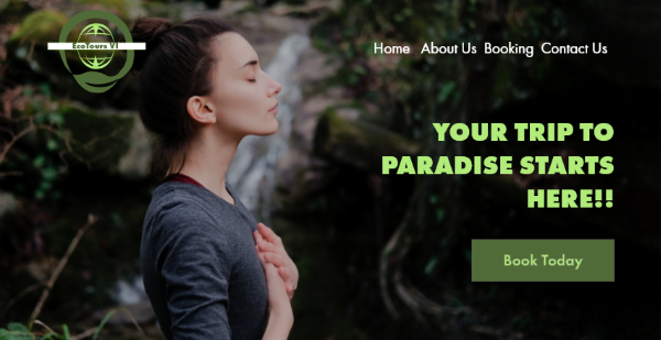 A screenshot of EcoTours VI - a sample website created by Cutting Edge Solutions