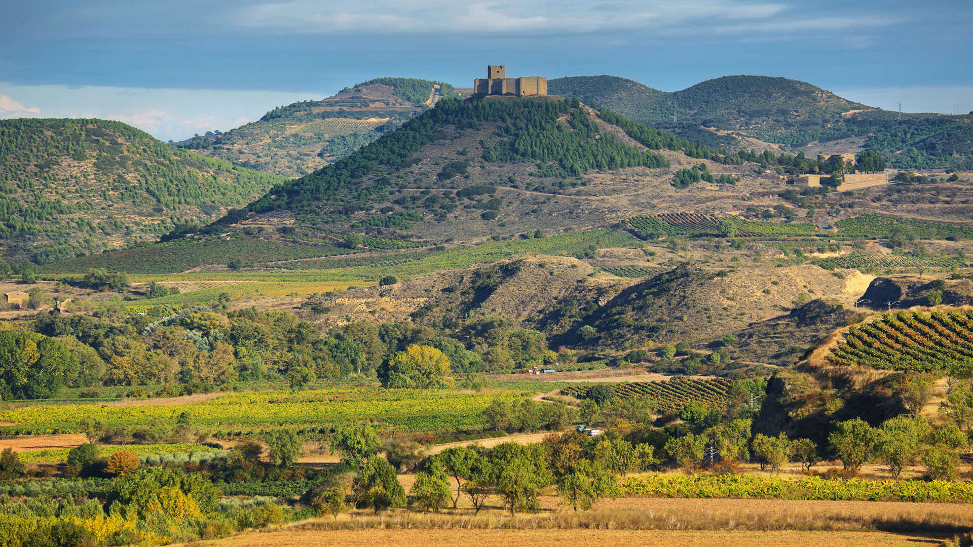 Portfolio category hero image