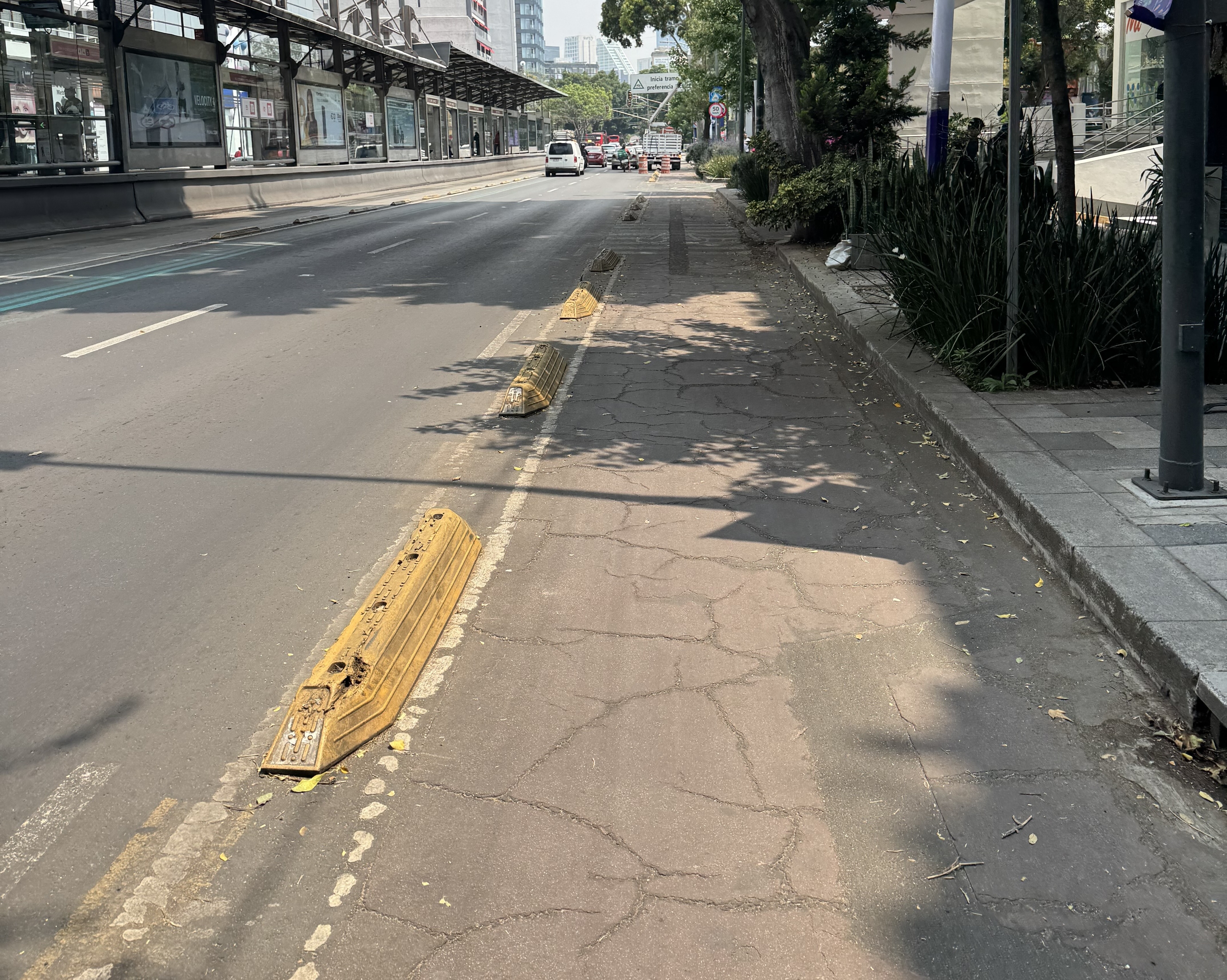 How To Bike in Mexico City