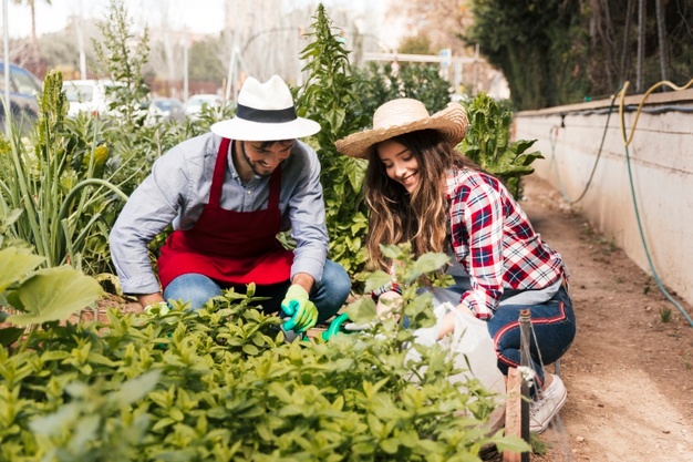 Photo de deux personnes qui font du jardinage - Article comment motiver l'autre à être écolo - Panache