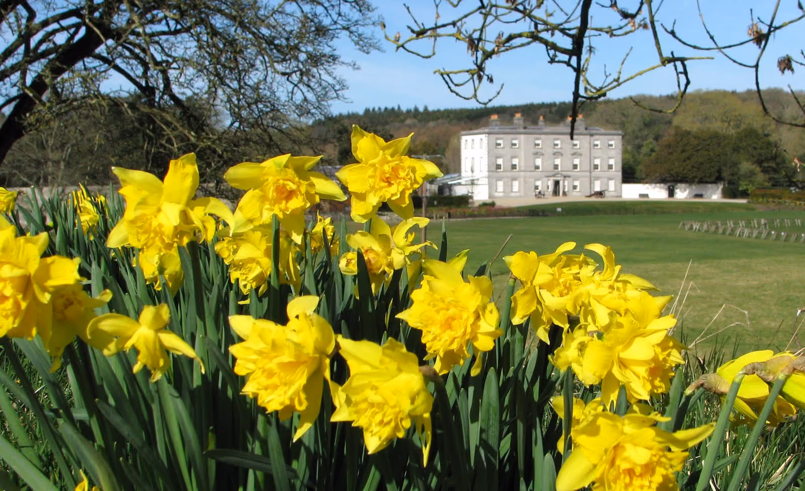 Boyne Valley Camino Route