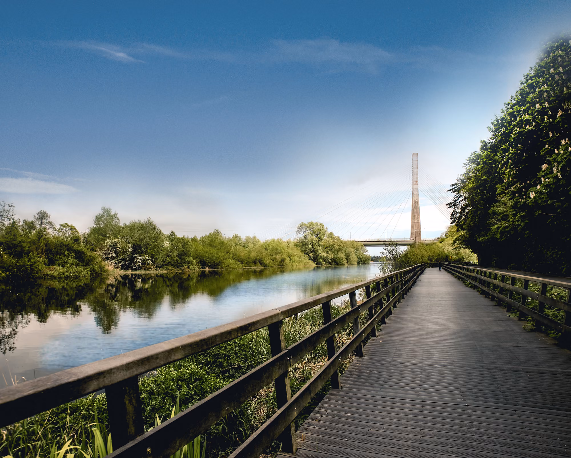 Boyne Valley Camino Route