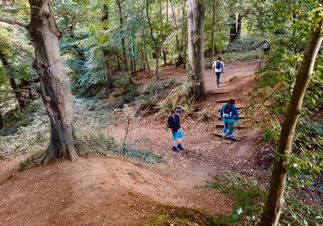 Belnumber Woods Boyne Valley Camino Route