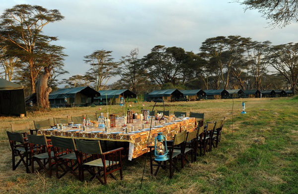 A table that seats approximately 18 people is set up for dining in a grass field. In the background, there are large, green canvas tents and tall trees.