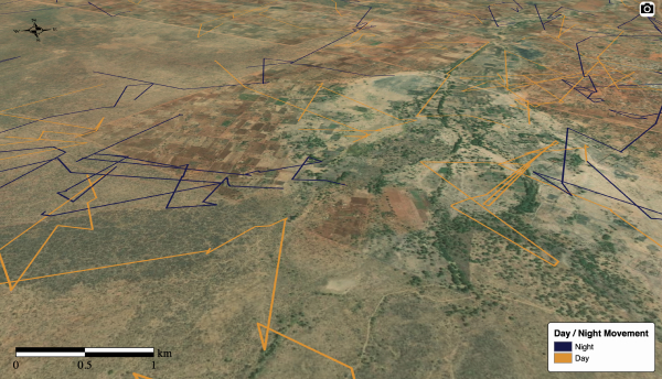 3d map showing tracks in navy and orange that indicate which tracks occurred during the day (orange) and night (navy)