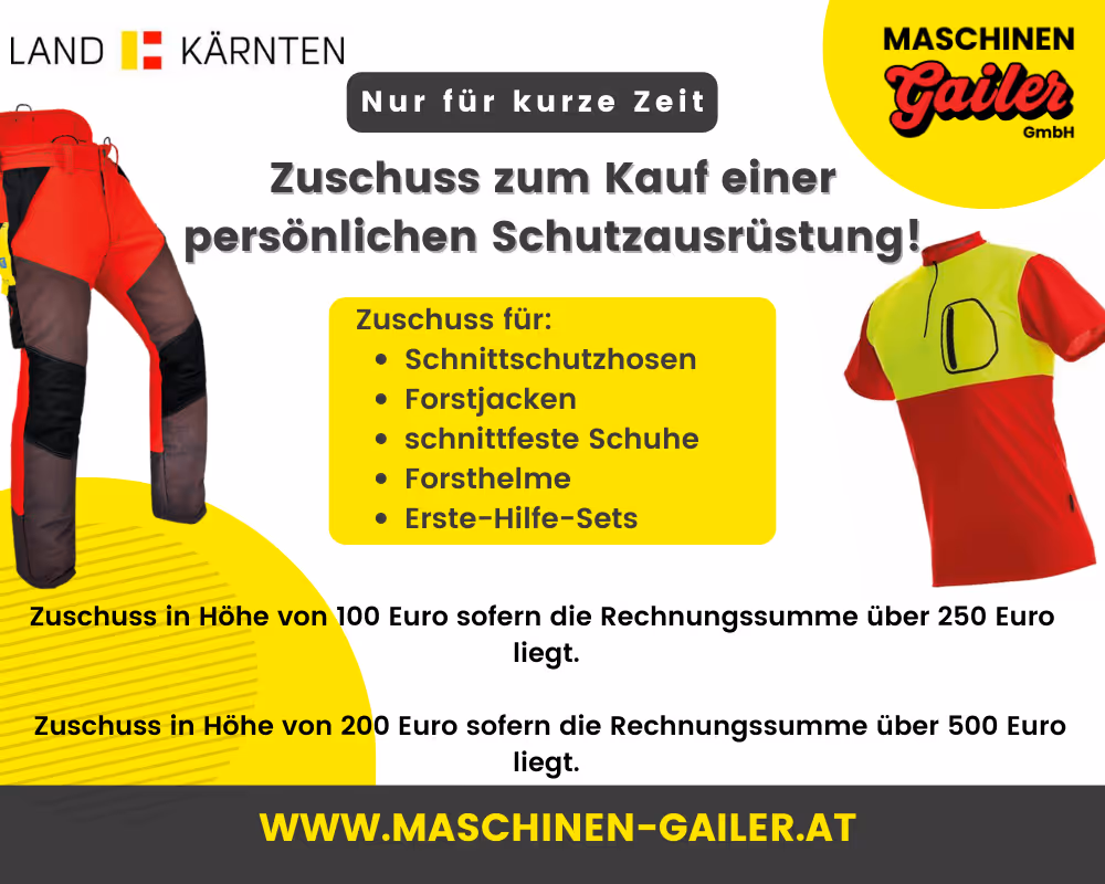 Windwurfaufarbeitung