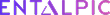 Logo entalpic