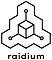 Logo Raidium