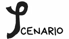 Scenario