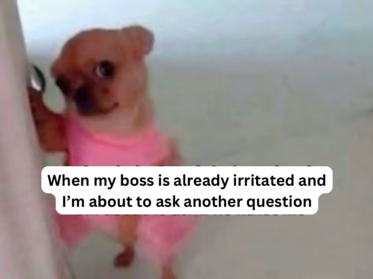Boss is already irritated. 