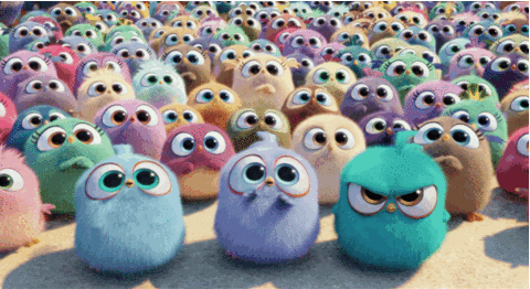 Crowd of angry birds.
