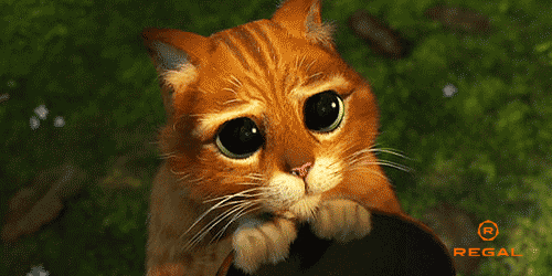 Animated cat with big, sad eyes.