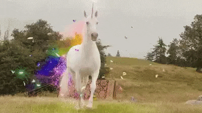 A picture of Gusto in action