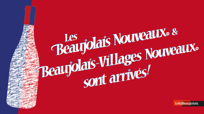 bojo-banniere-web-2