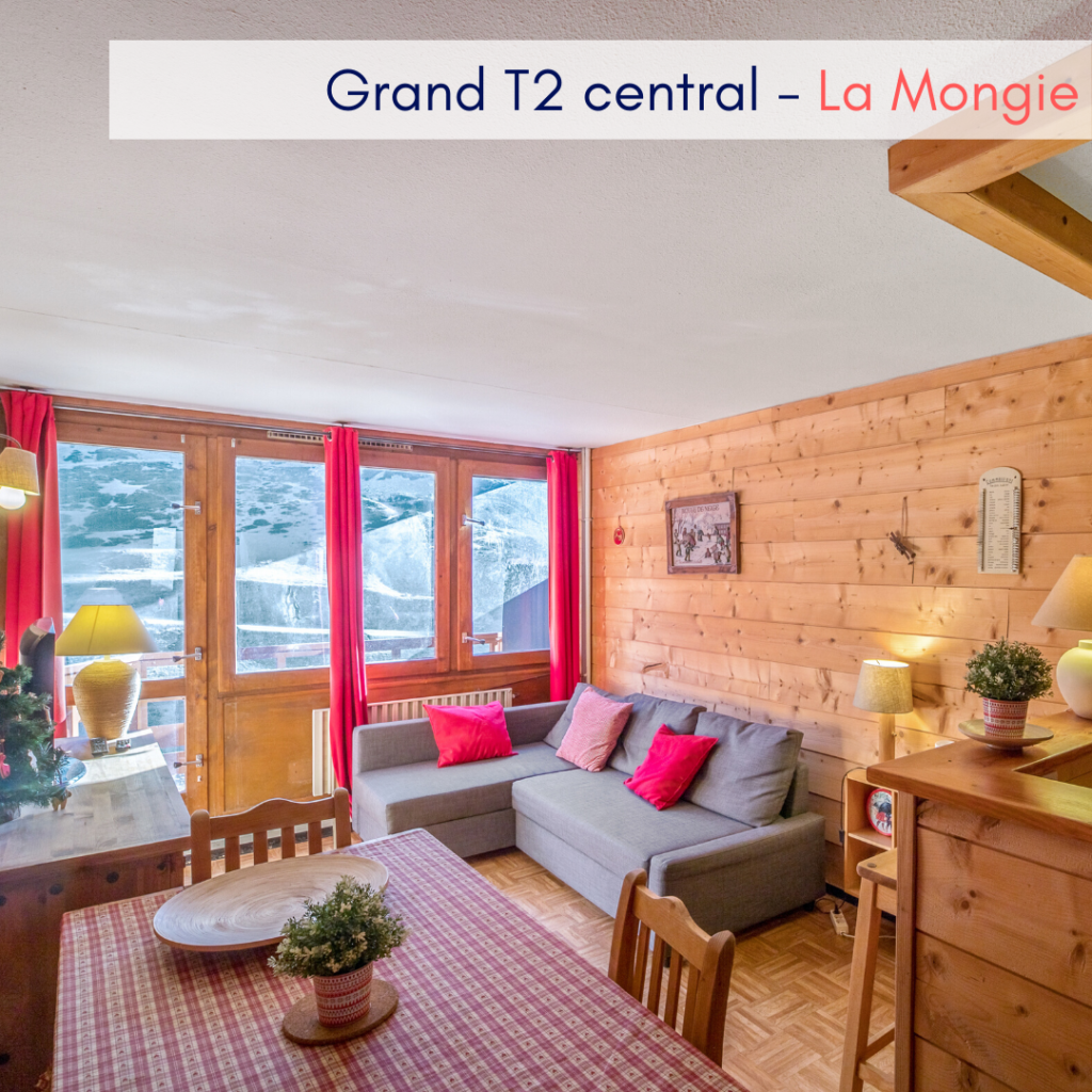Destinations du sud de la France : appartement à La Mongie