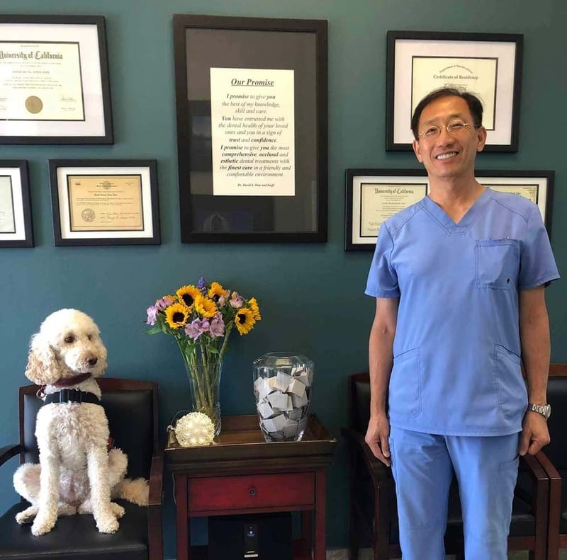 Dr. han and his dog