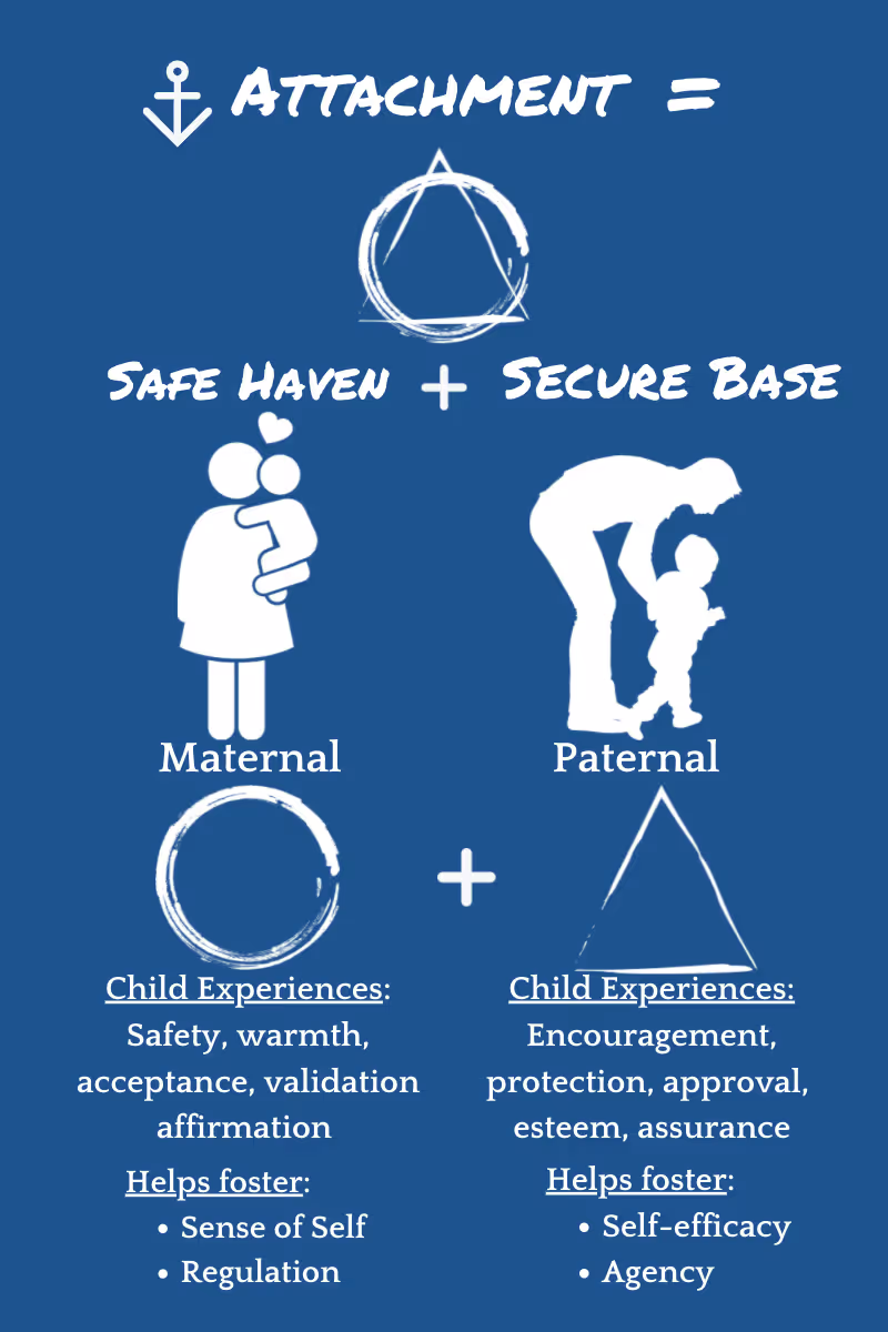 infographic of attachment theory showing safe haven and secure base sides of attachment