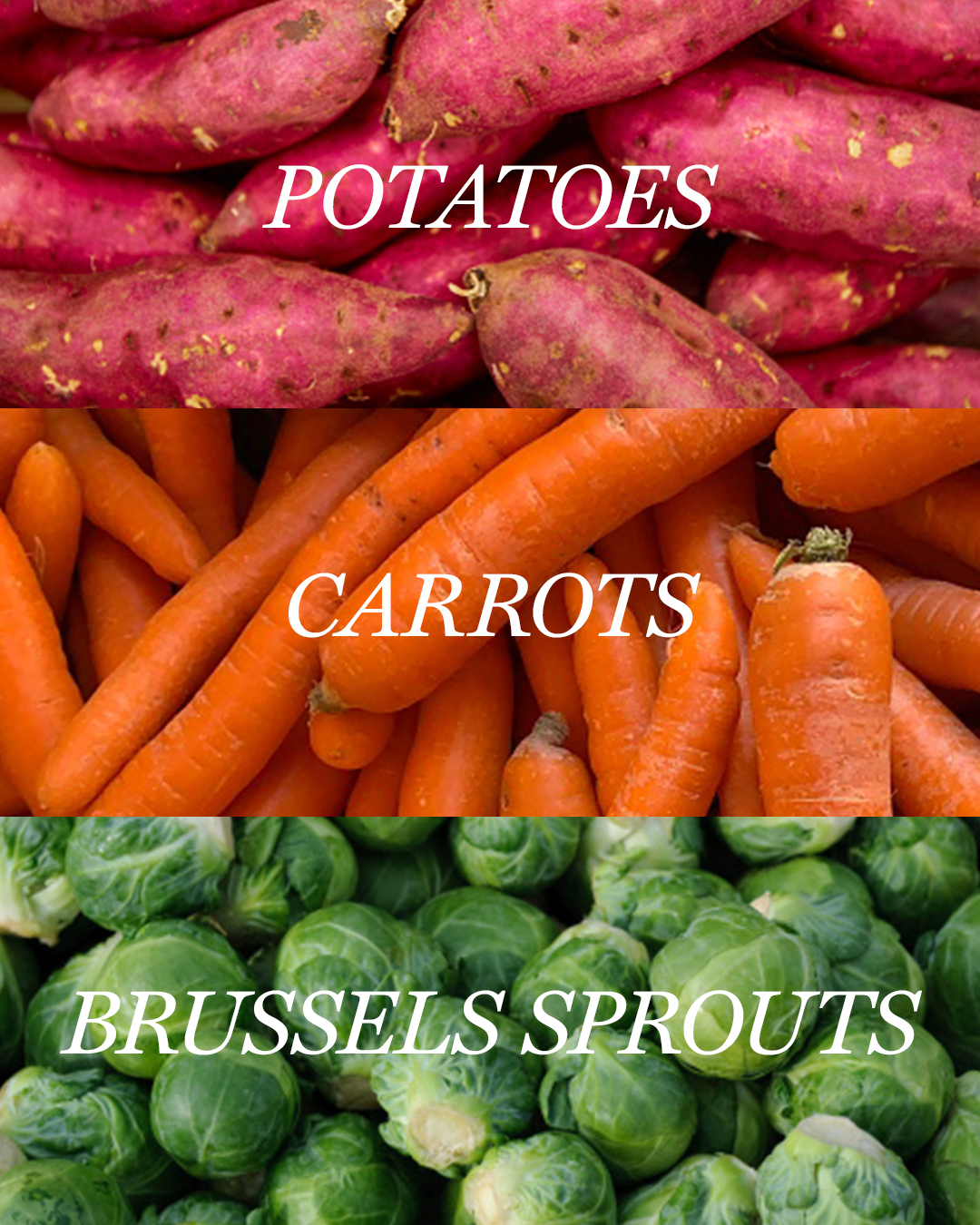 Seasonal Produce - Slide 1