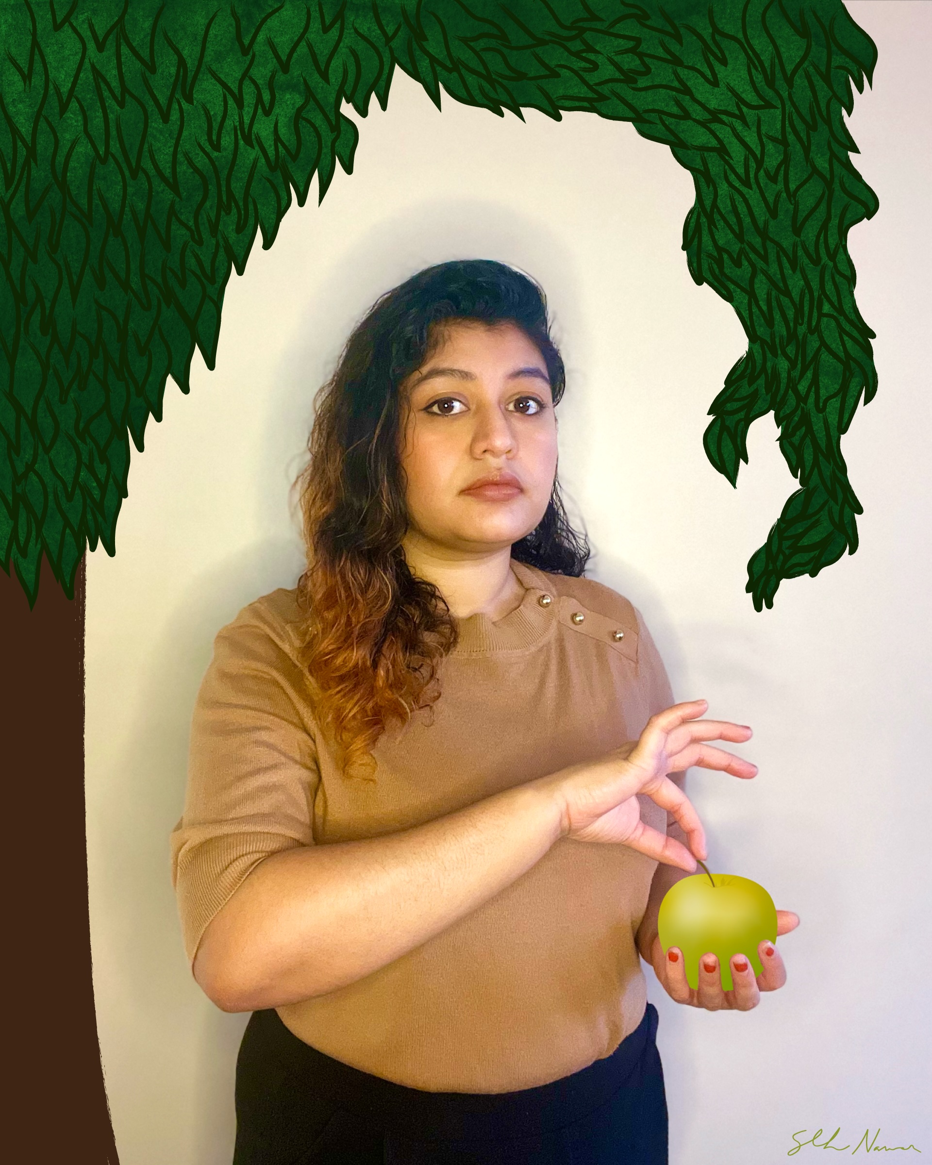 Apple Tree