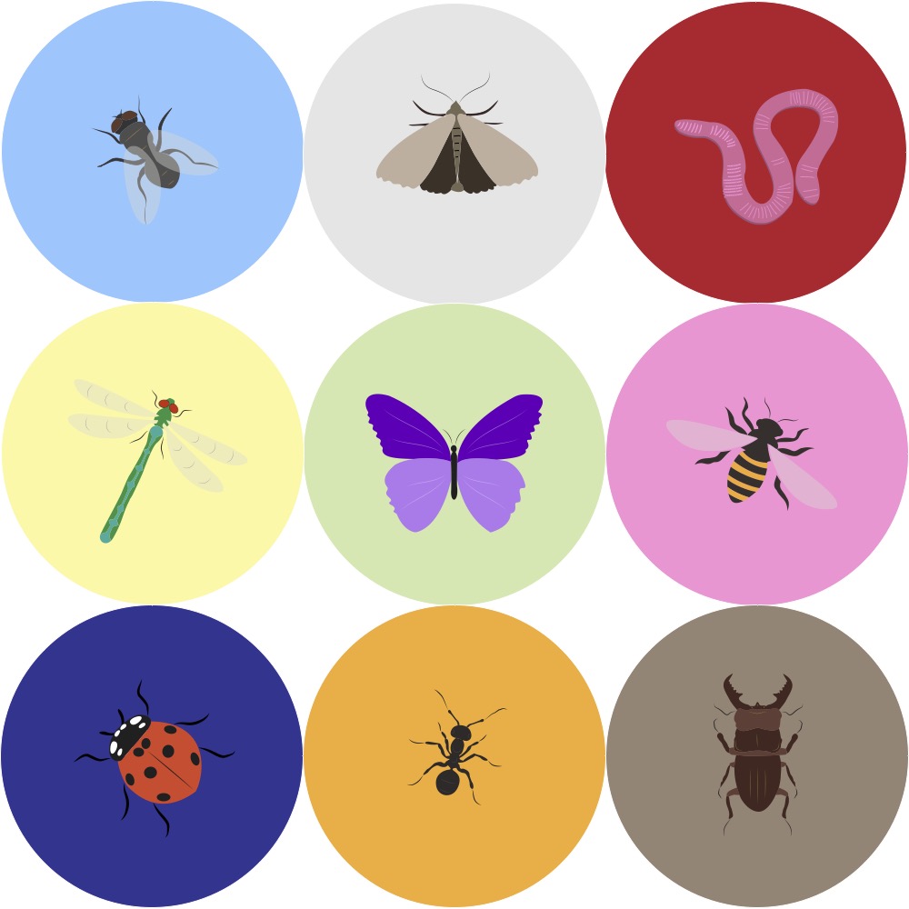 Insect Icons