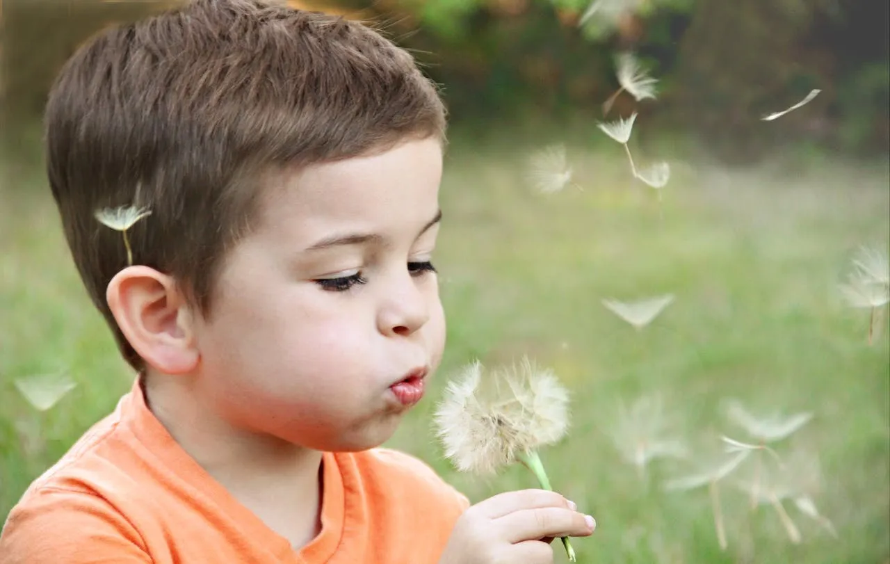 Vertrouwenspersoon van de stem van het kind