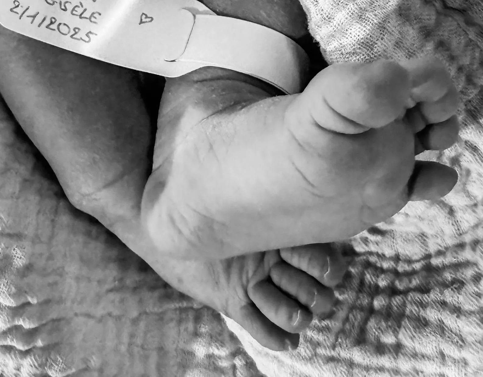 🤩 🗞️ Op 2 januari 2025 begon het bemiddelingsjaar bij Pro Mediation op een heel bijzondere manier… 🚼