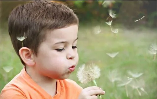 Nieuws🌈 Voortaan gaan we verder met een COMMUNITY van Vertrouwenspersonen van de stem van het kind 🧒 