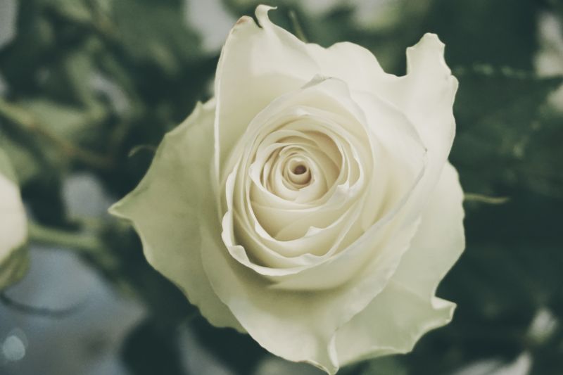 Met droefheid vernamen we vandaag het nieuws dat advocaat-bemiddelaar Ann Van den Berghen overleden is.