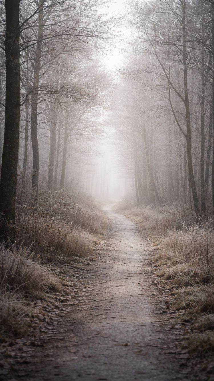 🌫️ Rust van buiten. Rumoer vanbinnen.