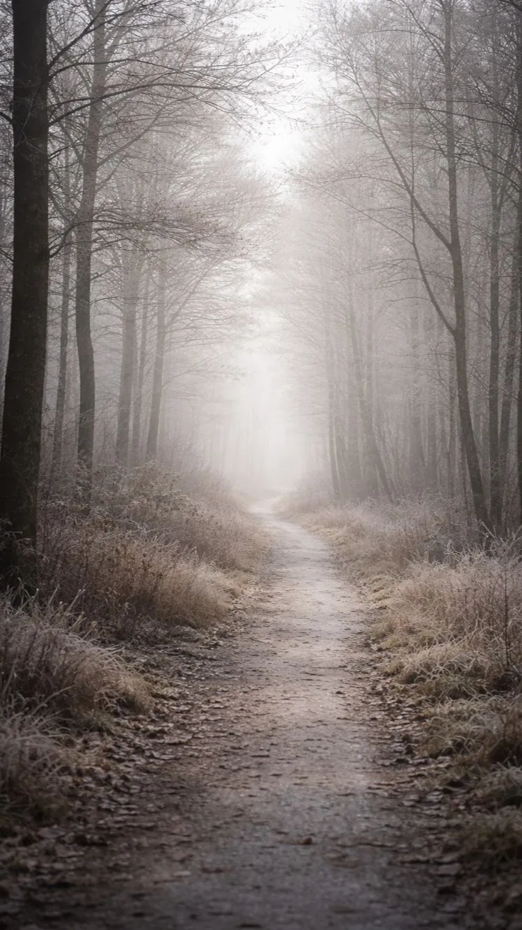 🌫️ Rust van buiten. Rumoer vanbinnen.