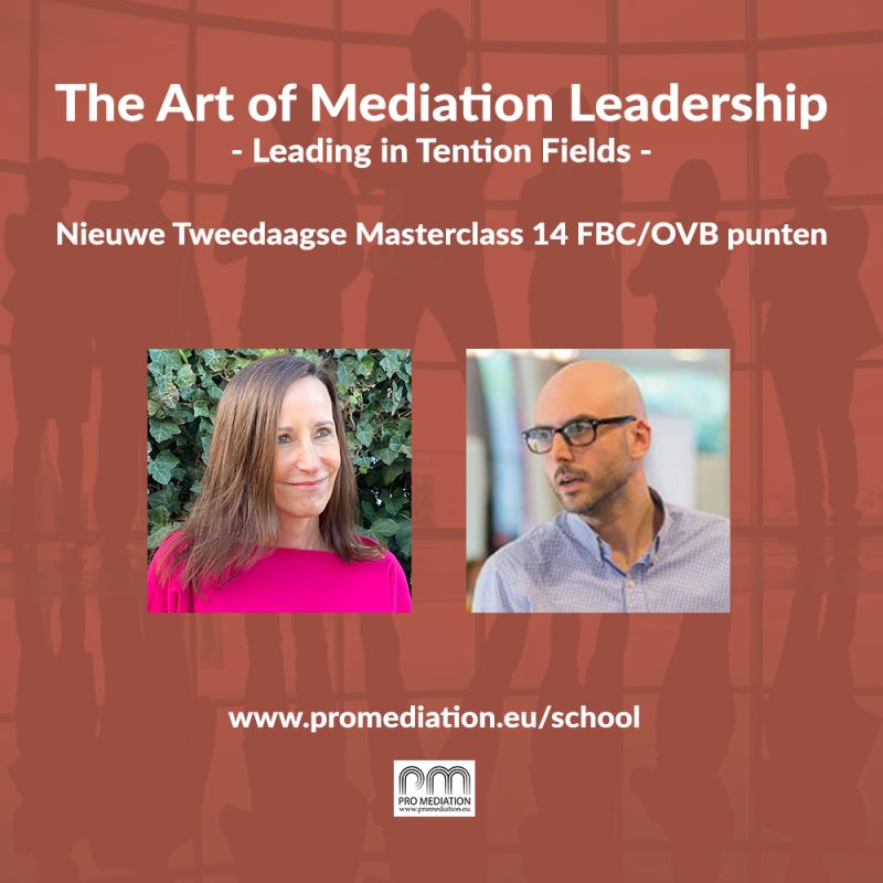 The Art of Mediation Leadership - Leading in Tension Fields