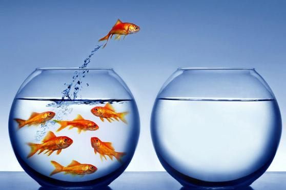 De Harvard 🐠Fishbowl-oefening